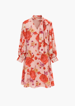 Ciara Chiffon / Printed Rayon Dress