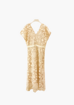 Vierre Lace Dress