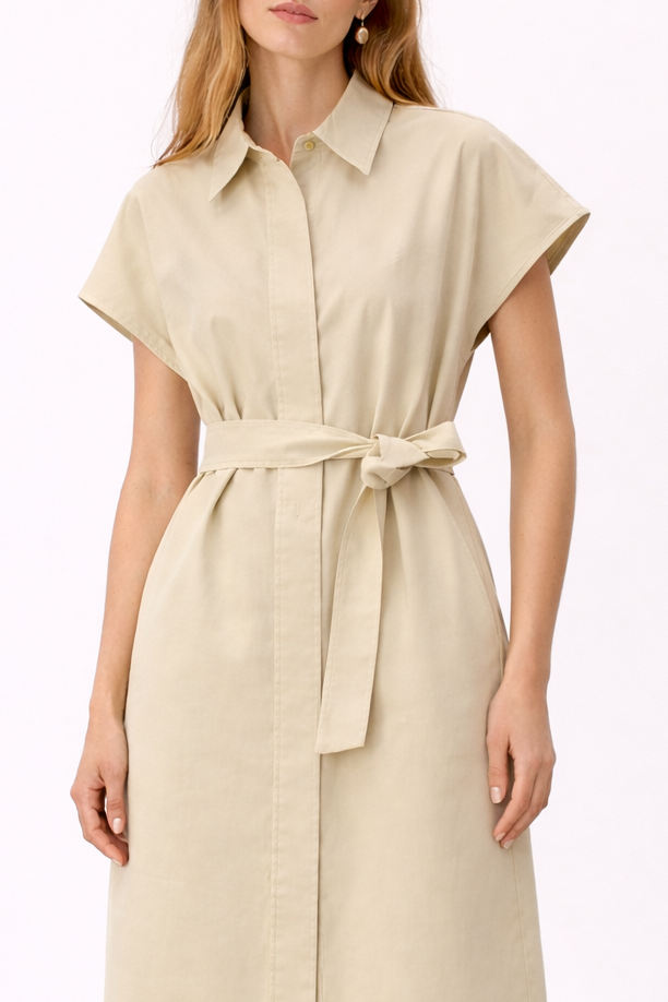 Azalea Poplin Dress